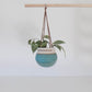 The Hanging Planter in Blue Geode