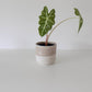 The Original Planter in Purple Sandstone