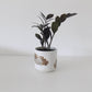 The Original Planter in White Oxide
