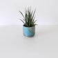 The Shorty Planter in Blue Geode