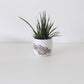 The Shorty Planter in White Oxide