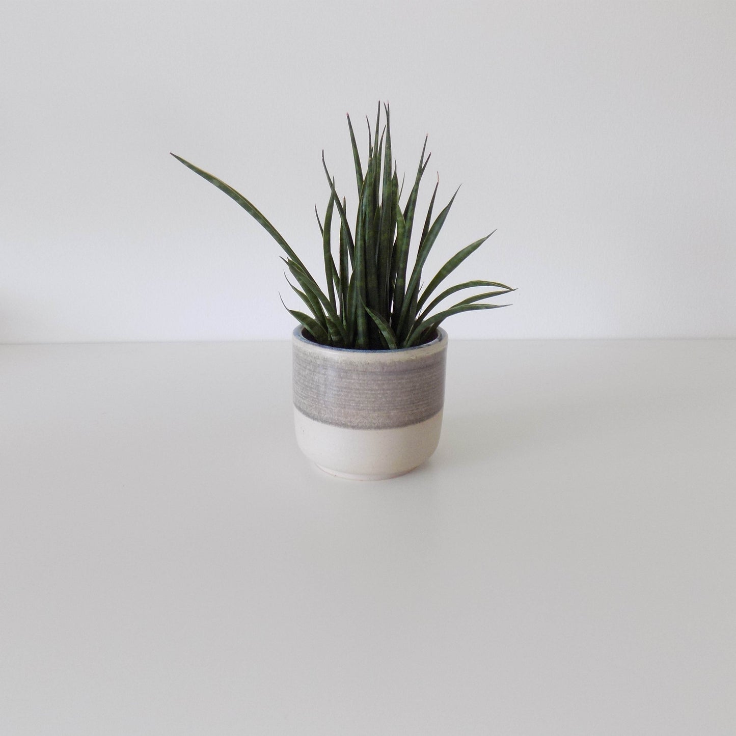 The Shorty Planter in Purple Sandstone